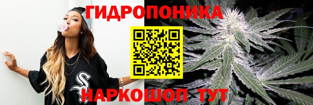 Шишки марихуана марихуана Чапаевск